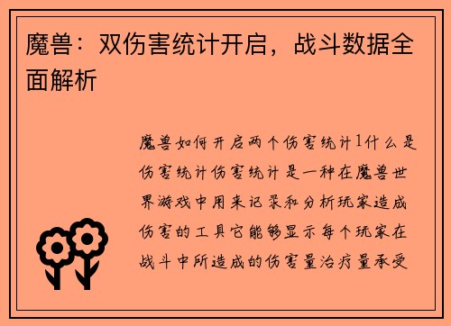 魔兽：双伤害统计开启，战斗数据全面解析