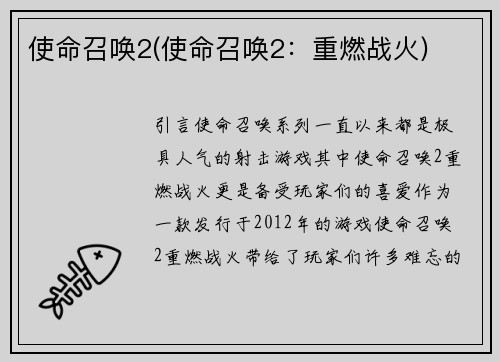 使命召唤2(使命召唤2：重燃战火)